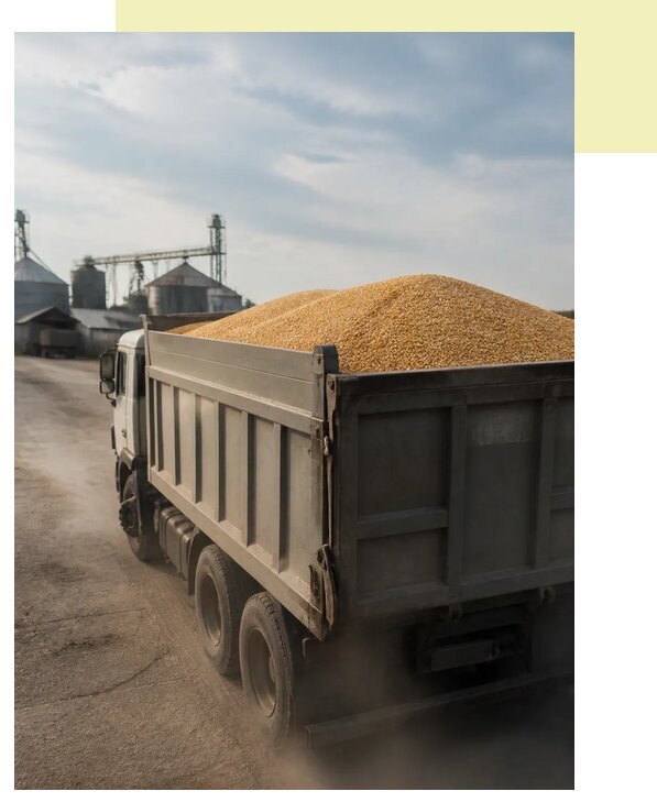 Перевозка сельхозпродукции навалом в Белореченск по цене от 3043 р. | Агросервис-Блч
